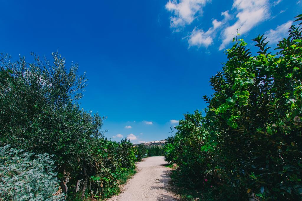 Tur Sinai Organic Farm Resort القدس المظهر الخارجي الصورة