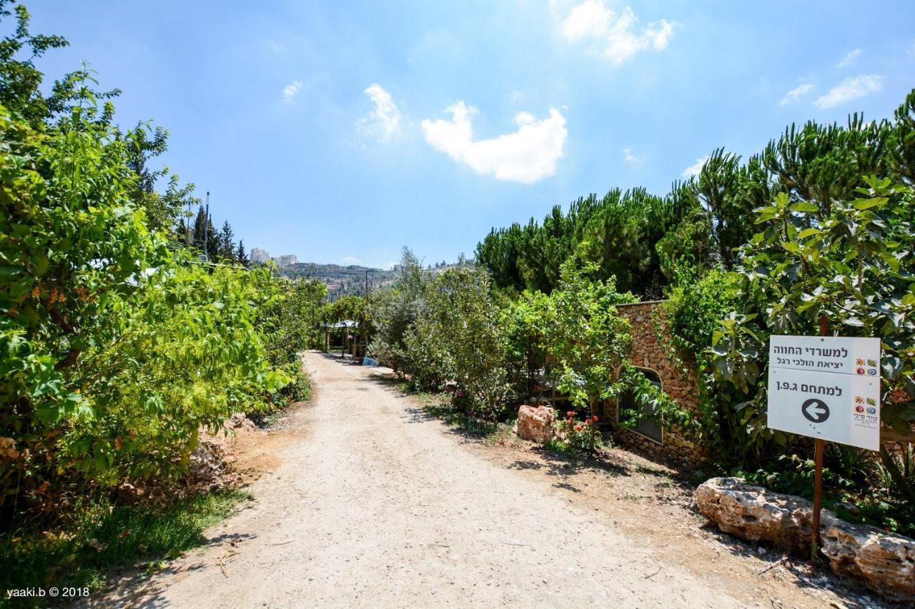 Tur Sinai Organic Farm Resort القدس المظهر الخارجي الصورة