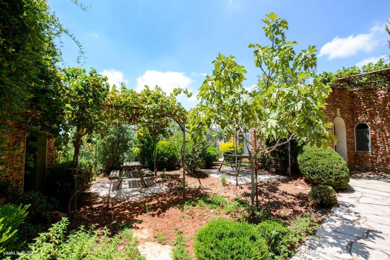 Tur Sinai Organic Farm Resort القدس المظهر الخارجي الصورة