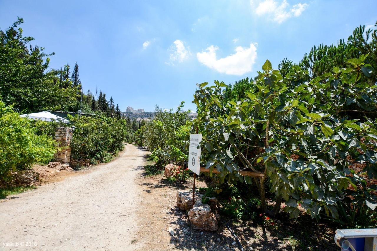 Tur Sinai Organic Farm Resort القدس المظهر الخارجي الصورة