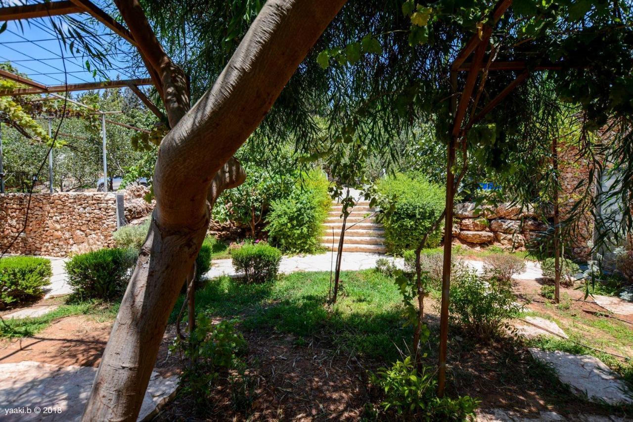 Tur Sinai Organic Farm Resort القدس المظهر الخارجي الصورة