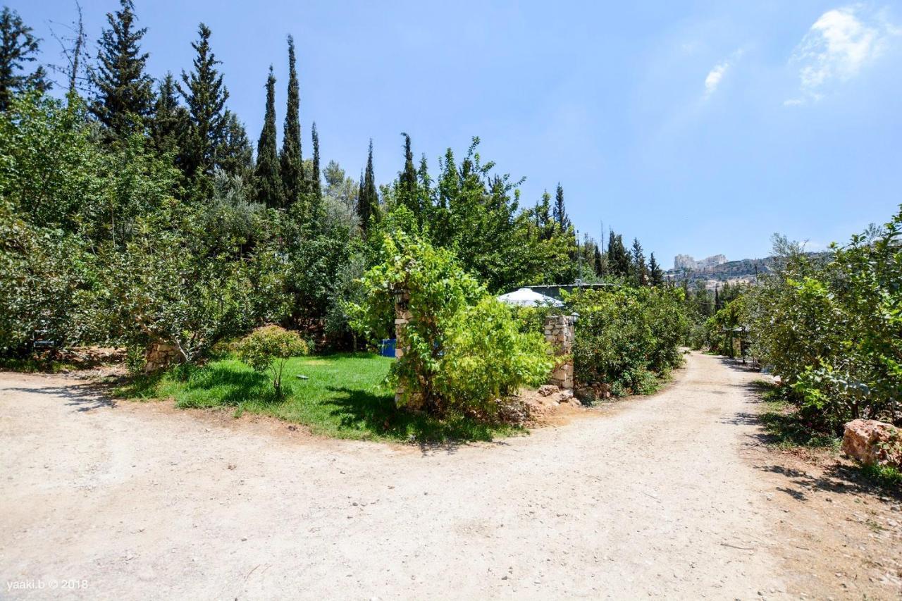 Tur Sinai Organic Farm Resort القدس المظهر الخارجي الصورة