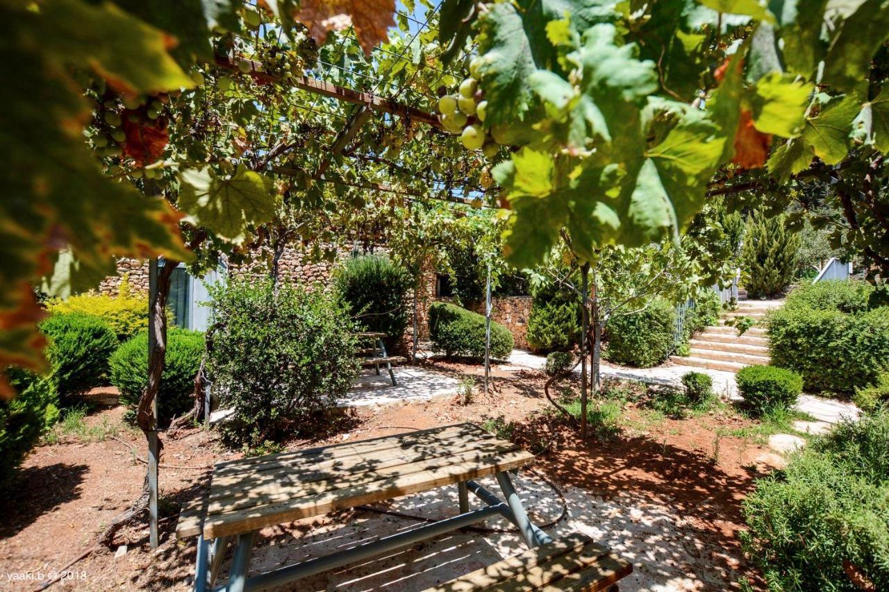 Tur Sinai Organic Farm Resort القدس المظهر الخارجي الصورة